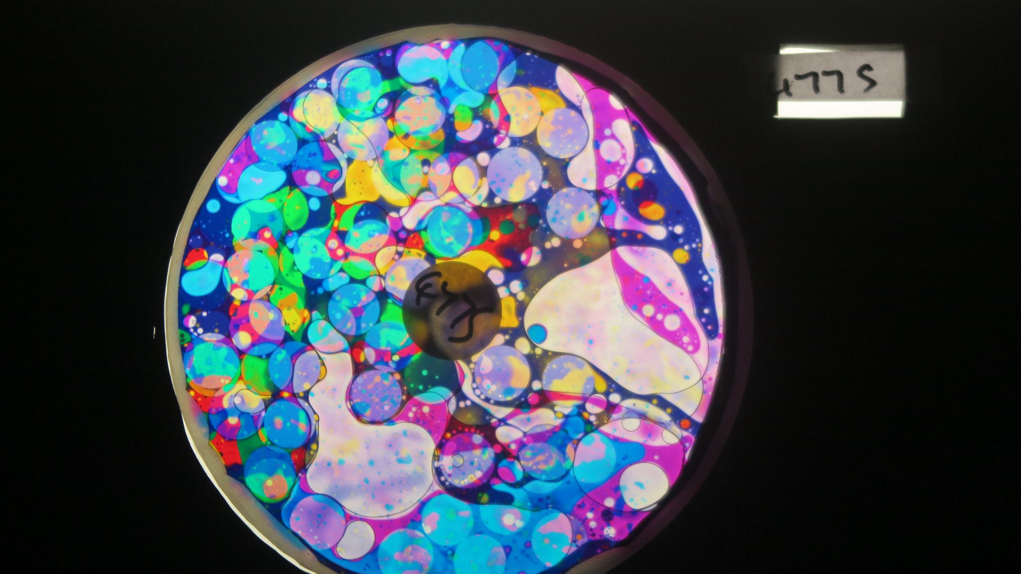 BV4775 bubble vision oil wheel